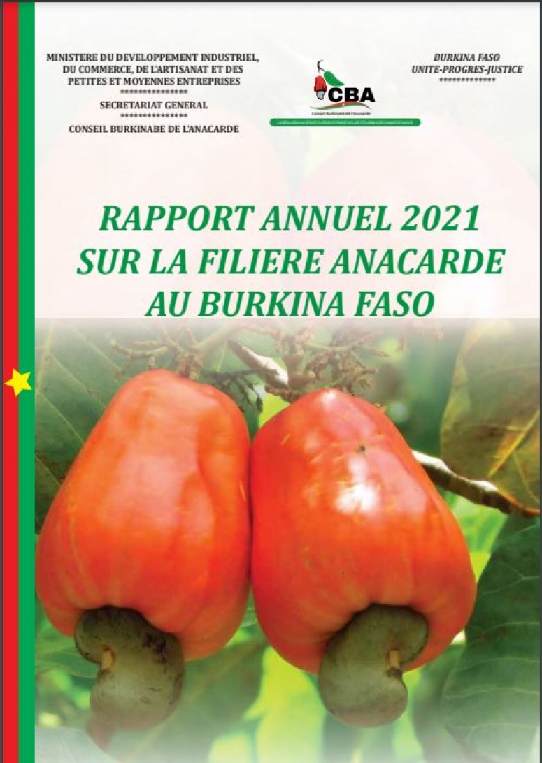 RAPPORT ANNUEL SUR LA FILIERE ANACARDE AU BURKINA FASO